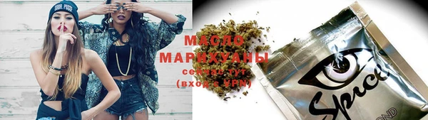 индика Вязники