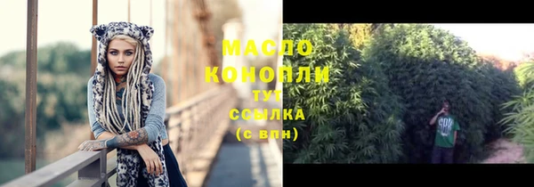 индика Вязники