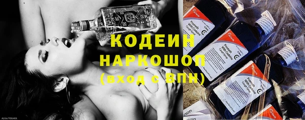 индика Вязники