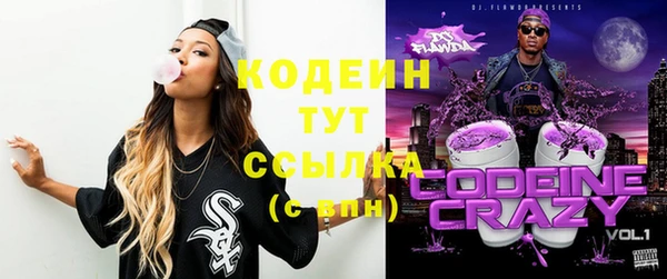 индика Вязники