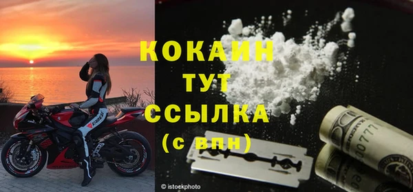 индика Вязники