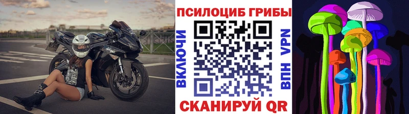 Псилоцибиновые грибы GOLDEN TEACHER  Купить закладки  Плавск 